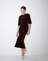 Velvet Dress